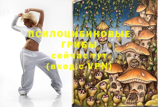 соль курить ск Белокуриха